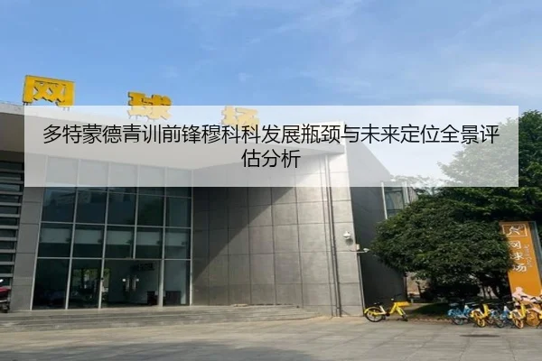 多特蒙德青训前锋穆科科发展瓶颈与未来定位全景评估分析