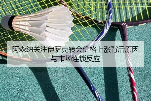 阿森纳关注伊萨克转会价格上涨背后原因与市场连锁反应