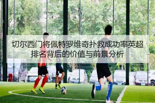 切尔西门将佩特罗维奇扑救成功率英超排名背后的价值与前景分析